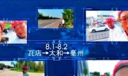 北京市新闻热线爆料,详情即将揭晓